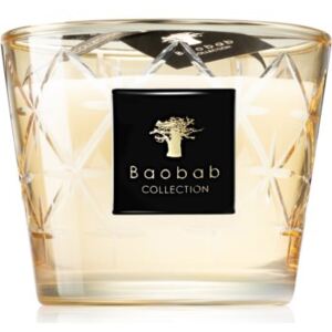 Baobab Borgia Lucrezia candela profumata 10 cm