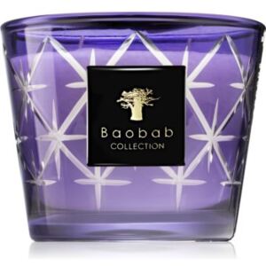 Baobab Borgia Rodrigo candela profumata 10 cm