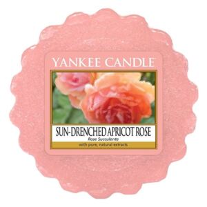 Yankee Candle Fragrant Wax to Sun-inzuppato albicocca Rose Aromalamp