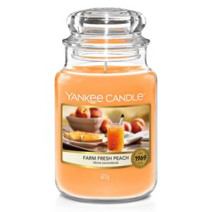 Yankee Candle profumata candela Farm Fresh Peach Classic grande