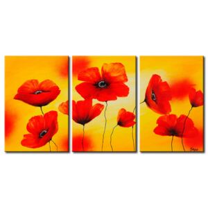 Quadro Papaveri