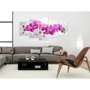 Quadro su tela Abstract Garden: Pink Orchids