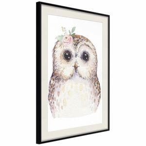 Poster: Cheerful Owl [Poster]