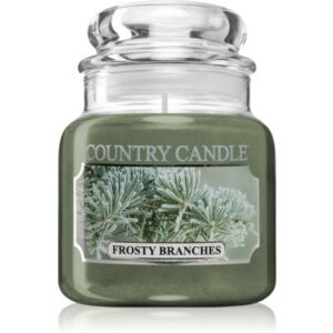 Country Candle Frosty Branches candela profumata 104 g