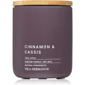 Vila Hermanos Concrete Cinnamon & Cassis candela profumata 120 g
