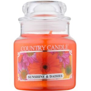 Country Candle Sunshine & Daisies candela profumata 104 ml