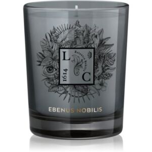 Le Couvent Maison de Parfum Intérieurs Singuliers Ebenus Nobilis candela profumata accessorio 190 g