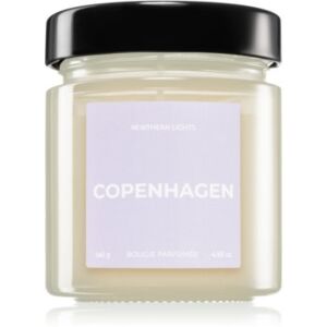 Vila Hermanos Apothecary Northern Lights Copenhagen candela profumata 140 g