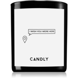 Candly & Co. I wish you were here candela profumata 250 g
